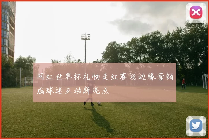 网红世界杯礼物走红赛场边缘营销成球迷互动新亮点