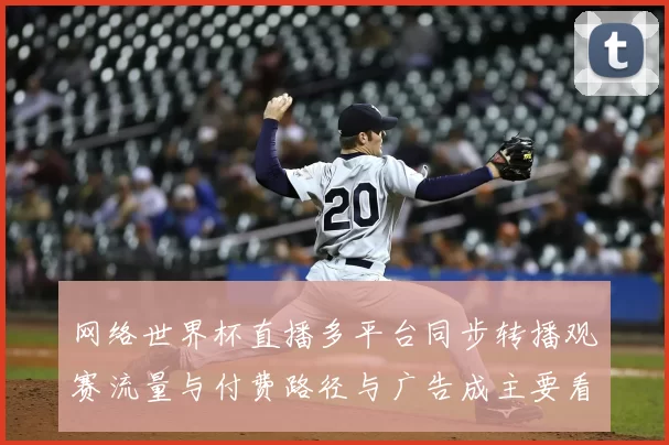 网络世界杯直播多平台同步转播观赛流量与付费路径与广告成主要看点