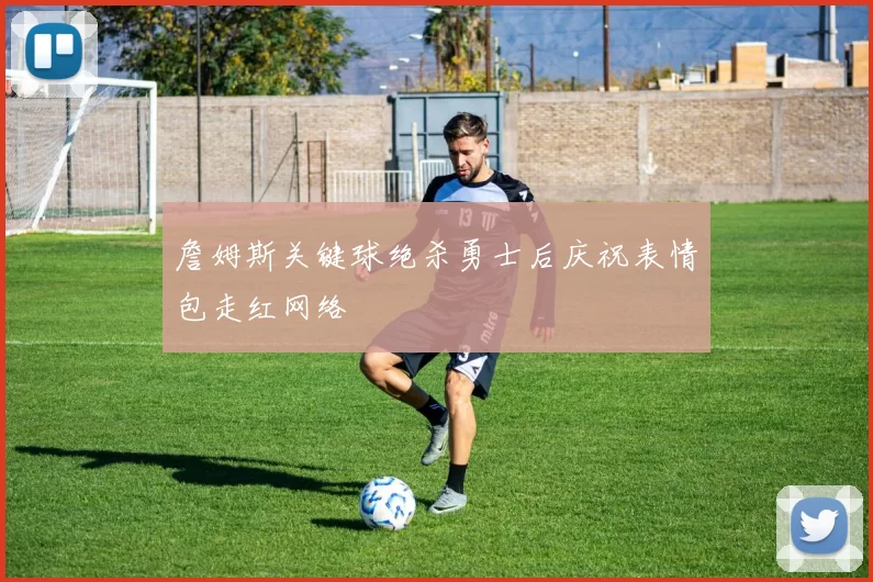 詹姆斯关键球绝杀勇士后庆祝表情包走红网络