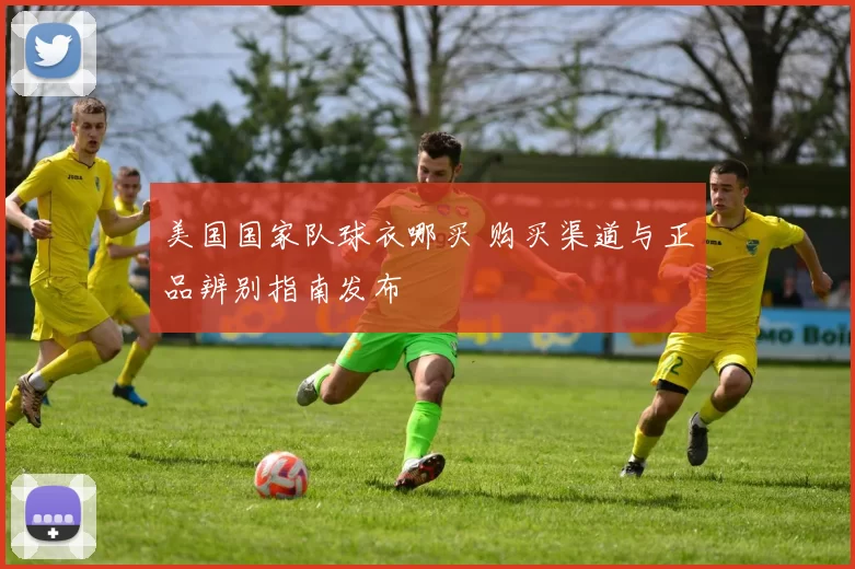 美国国家队球衣哪买 购买渠道与正品辨别指南发布