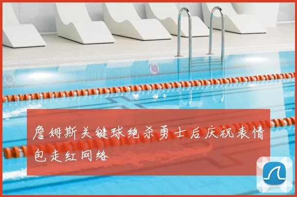 詹姆斯关键球绝杀勇士后庆祝表情包走红网络