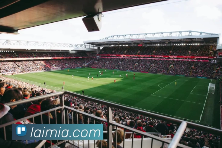 开云手机入口 - 开云(中国)APP 封面图